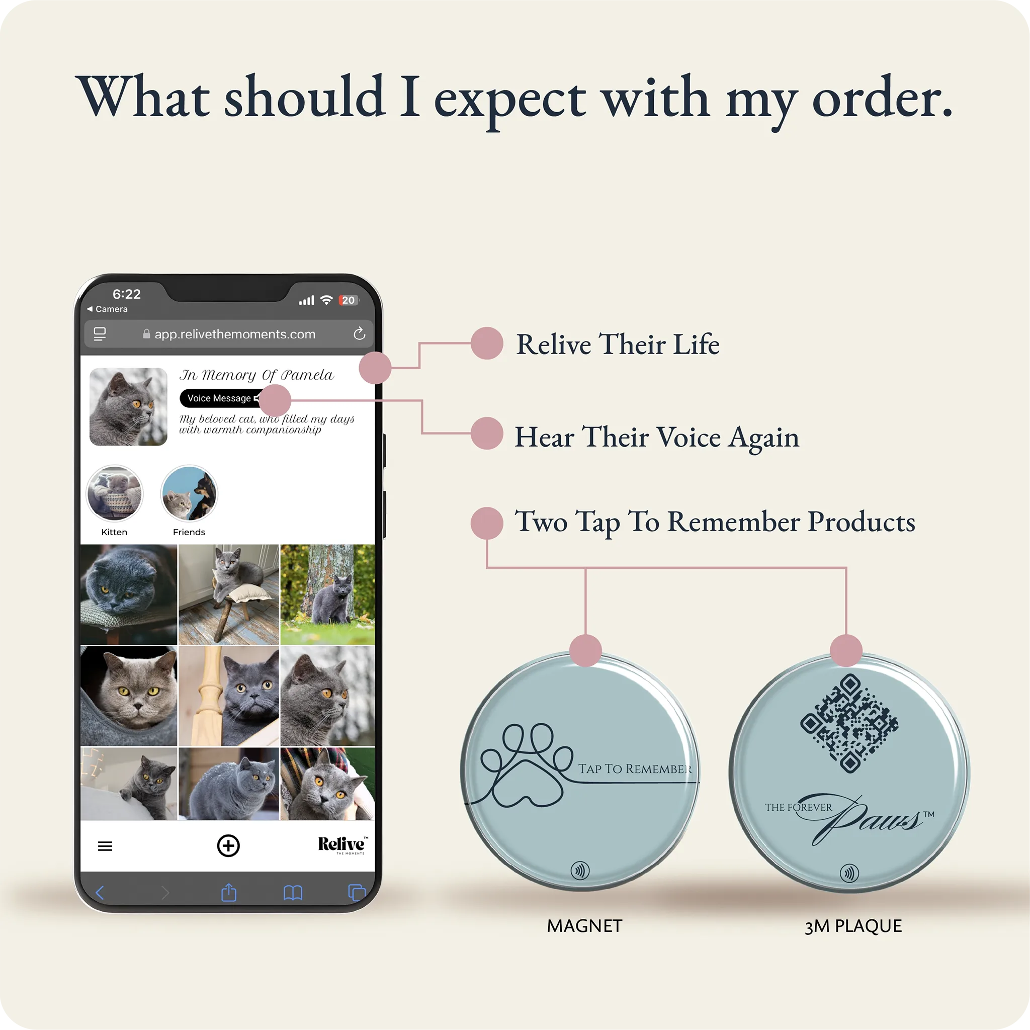 What's included with the Forever Paw Kit