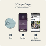 Setup Forever Paw in 3 simple steps