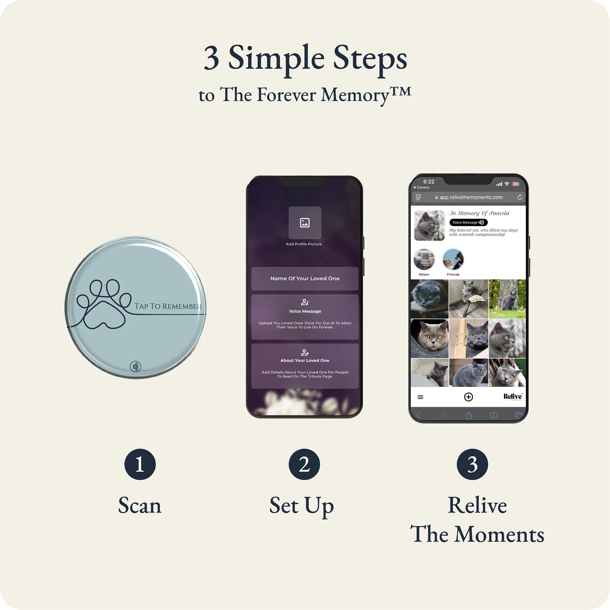 Setup Forever Paw in 3 simple steps